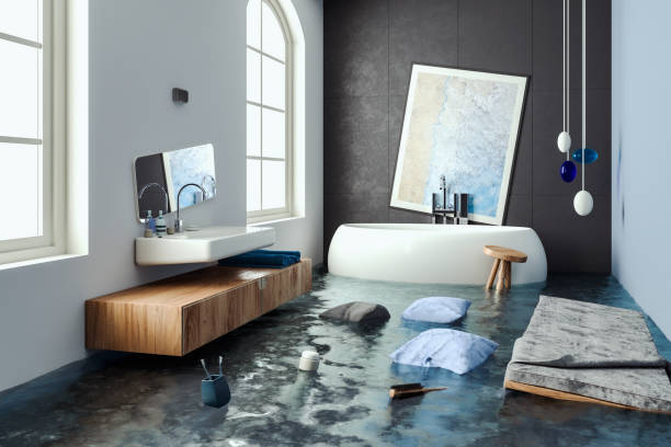 Best Professional water damage repair  in Belle Isle, FL