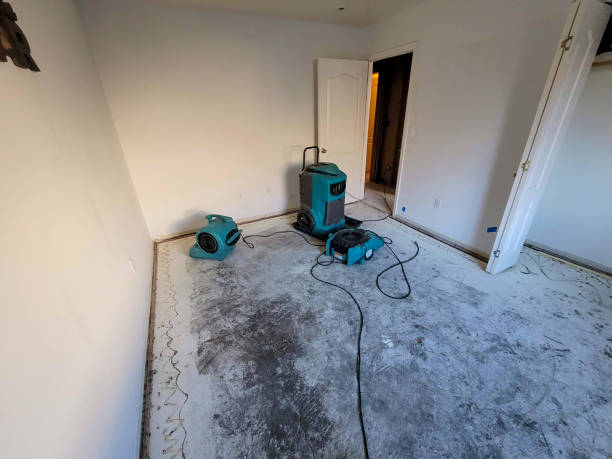 Best Water damage restoration services  in Belle Isle, FL