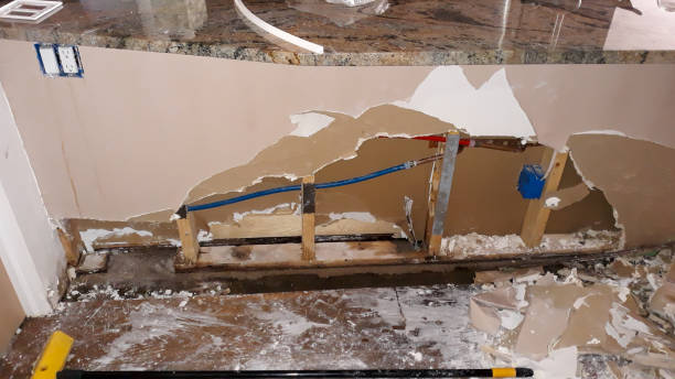 Best Water damage restoration near me  in Belle Isle, FL