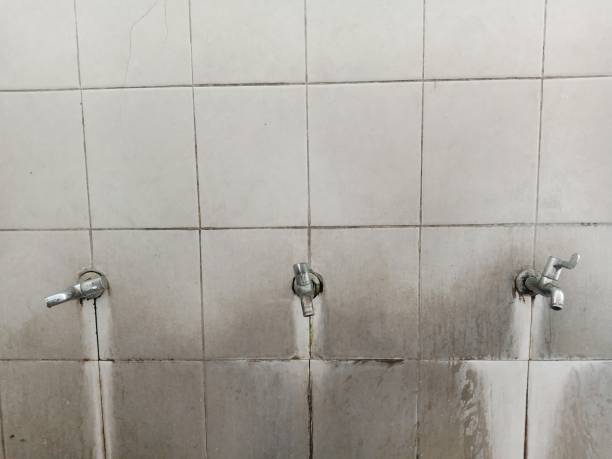 Best 24/7 water damage repair  in Belle Isle, FL